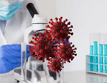 Esta enfermedad era relacionada con la transmisión a través del contacto con los primates en África. FREEPIK