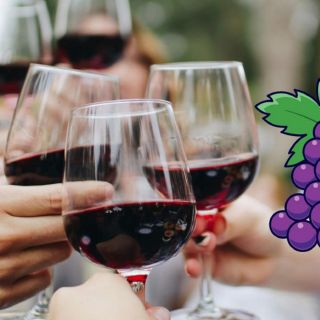 ¡Agéndalo! No te pierdas este festival del vino mexicano en Guadalajara