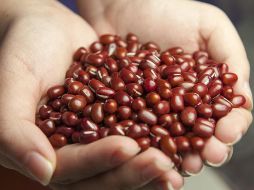 Muchos de estos alimentos provienen de la naturaleza y son ricos en vitaminas, minerales, fibra y proteínas, que fortalecen el sistema inmunológico. Pixabay