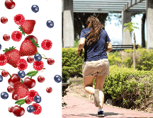 Además de la soja, otras legumbres, semillas de lino, sésamo, y algunas frutas y verduras, como las manzanas, las zanahorias y los frutos rojos, también son buenas fuentes de fitoestrógenos EL INFORMADOR / ARCHIVO