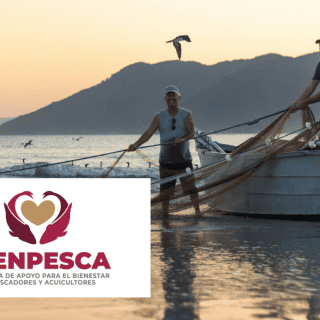 Bienespesca 2024: Conoce los requisitos para recibir 7 mil 500 pesos