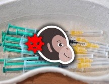 Un nuevo virus mantiene en alerta al mundo: se trata de la viruela del mono o mpox. EFE/ ARCHIVO