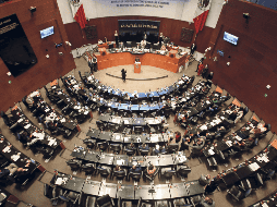 Se confirmó la validez de la elección de senadurías bajo el principio de representación proporcional. SUN