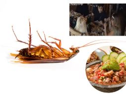 En el video, se aprecia cómo el grupo conformado por tres mujeres y un hombre, colocan al insecto dentro del platillo. ESPECIAL