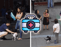 Contar con una mochila de emergencia ante un temblor siempre lista es fundamental. EFE / ARCHIVO