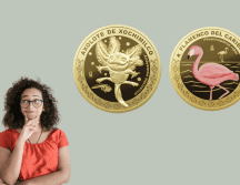 El diseño de algunas monedas fue hecho por alumnos de primaria a través de un concurso lanzado por el gobierno. ESPECIAL /INSTAGRAM/ casamonedamx y Pexels