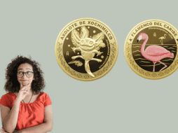 El diseño de algunas monedas fue hecho por alumnos de primaria a través de un concurso lanzado por el gobierno. ESPECIAL /INSTAGRAM/ casamonedamx y Pexels
