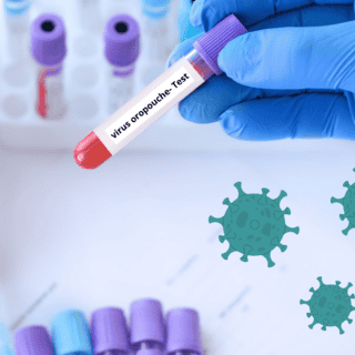 Virus Oropouche: Todo lo que necesitas saber la enfermedad también conocida como 'fiebre del perezoso'