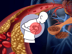 Esta semilla también ha sido usada en la medicina tradicional para tratar quemaduras y sanar dolores reumáticos. ESPECIAL/ CANVA