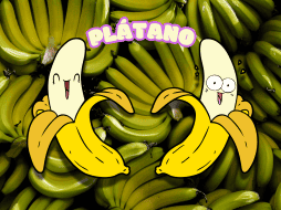 Los plátanos, al igual que otras frutas, producen etileno, un gas que regula su crecimiento y acelera su maduración. EL INFORMADOR / ARCHIVO