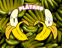 Los plátanos, al igual que otras frutas, producen etileno, un gas que regula su crecimiento y acelera su maduración. EL INFORMADOR / ARCHIVO