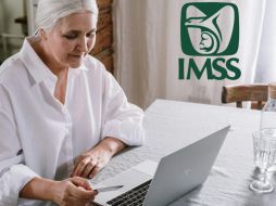 Este procedimiento se puede llevar a cabo en el sitio web oficial del Instituto, en el cual los usuarios deberán autenticarse con su firma electrónica del SAT. Pexels