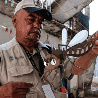 Se disparan más del 200% los casos de dengue en México