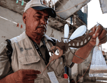 En lo que va de 2024 se han confirmado 118 muertes por dengue, por encima de las 13 de igual lapso del año pasado. EFE/ David Guzmán/ ESPECIAL/ CANVA