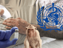 La Organización Mundial de la Salud declaró el pasado 14 de agosto una emergencia internacional por la mpox (viruela del mono). EFE/ ARCHIVO/ ESPECIAL/ CANVA