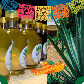 Profeco revela cuáles son las mejores marcas de mezcal para las fiestas patrias