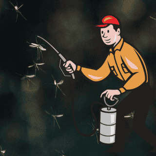 Por mutación, mosquitos del dengue en Argentina son resistentes a las fumigaciones, según estudio