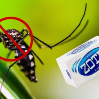 Elimina los mosquitos de tu hogar usando este truco casero con jabón Zote