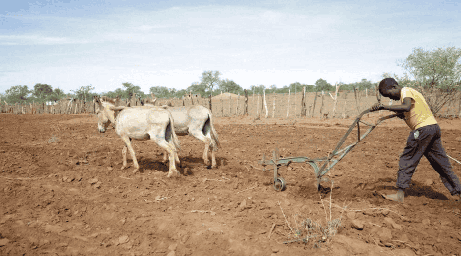 El pasado junio, el Gobierno lanzó un programa para distribuir alimentos y ayuda económica. EFE / ARCHIVO