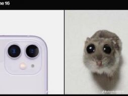 Este lunes se llevó a cabo el Apple Event 2024, en dónde se presentaron la nueva generación de productos como Airpods, iPhone y Apple Watch. X/Especial