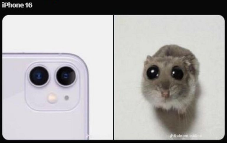 Este lunes se llevó a cabo el Apple Event 2024, en dónde se presentaron la nueva generación de productos como Airpods, iPhone y Apple Watch. X/Especial