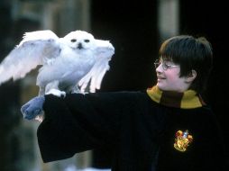 El casting busca niños que tengan entre 9 y 11 años en abril de 2025 y que sean residentes del Reino Unido e Irlanda. Warner Bros.