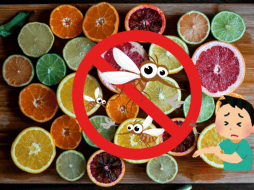 Este rico y común cítrico te ayuda a repeler los mosquitos y no lo sabías, además de que si lo consumes puedes mantenerte bien hidratado. UNSPLASH/ Odiseo Castrejón/ ESPECIAL/ CANVA