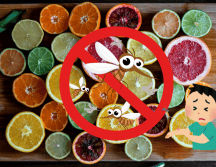 Este rico y común cítrico te ayuda a repeler los mosquitos y no lo sabías, además de que si lo consumes puedes mantenerte bien hidratado. UNSPLASH/ Odiseo Castrejón/ ESPECIAL/ CANVA