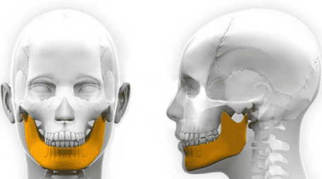 La innovación forma parte del proyecto INKplant. UNSPLASH / M. POETKER