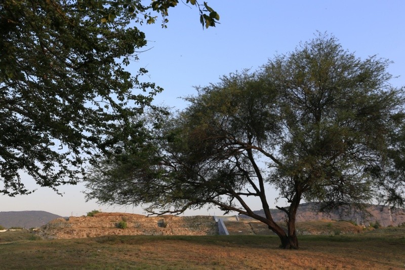 El Ixtépete, en Zapopan. EL INFORMADOR / ARCHIVO