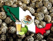 Para los mexicanos, el tequila no sólo es una bebida de celebración, sino además representa las raíces y la identidad de la nación; por eso, su elaboración demanda cuidado y reglas. EL INFORMADOR / ARCHIVO