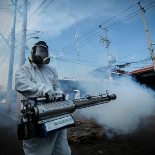 Jalisco se ubica en segundo lugar en casos de dengue