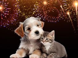 Evitar su uso no solo protege a quienes te rodean, sino que también promueve una celebración más consciente y segura para todos. ESPECIAL / FREEPIK