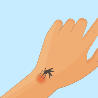 ¡Dile adiós a los mosquitos! Este es el truco casero para eliminarlos