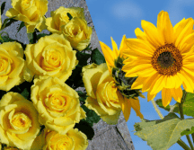 Las flores amarillas son un símbolo de vitalidad y felicidad. ESPECIAL/Imagen de Bruno en Pixabay/Imagen de Anna Armbrust en Pixabay