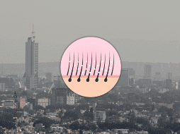 Las partículas contaminantes que flotan en el aire se depositan sobre el cabello y el cuero cabelludo, impidiendo su correcta oxigenación.  EL INFORMADOR / ARCHIVO