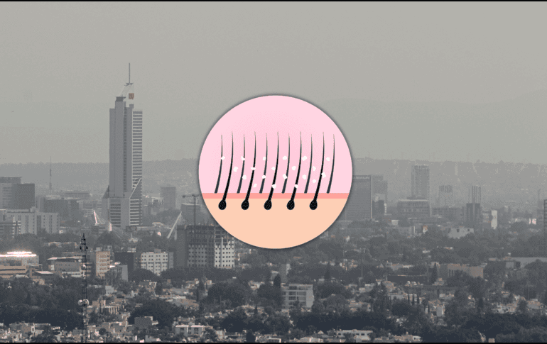 Las partículas contaminantes que flotan en el aire se depositan sobre el cabello y el cuero cabelludo, impidiendo su correcta oxigenación.  EL INFORMADOR / ARCHIVO