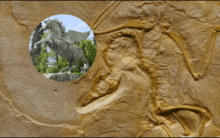 El 'Pegasus volans' sigue siendo una incógnita debido a su complejidad y rareza. Pexels / Pixabay