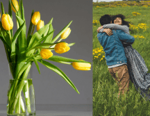 Existe una gran variedad de flores en el mercado para elegir, por ello, ChatGPT consideró el significado de cada una de ellas para determinar cuáles son las mejores para esta ocasión. ESPECIAL/Imagen de JohnyVid en Pixabay/Imagen de Mohamed Chermiti en Pixabay