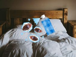 Las chinches se ocultan en las camas y sus inmediaciones, en las grietas de las sillas, los sillones, etc. UNSPLASH / A. SPRATT