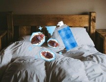 Las chinches se ocultan en las camas y sus inmediaciones, en las grietas de las sillas, los sillones, etc. UNSPLASH / A. SPRATT