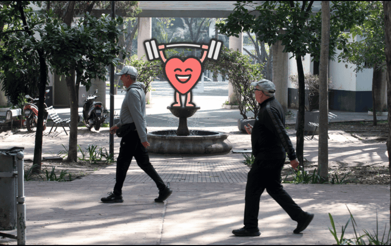 El colesterol puede controlarse con actividad física, ya que esta permite que el torrente sanguíneo barra los depósitos de placas de grasa presentes en las arterias. EL INFORMADOR / ARCHIVO