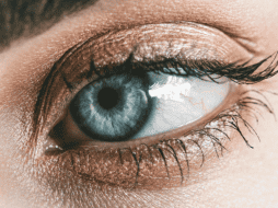 Se cree que las personas de ojos azules provienen de un ancestro común. Pexels