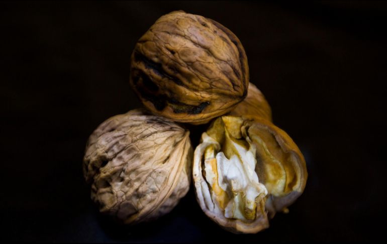 Se estima que los humanos de esta etapa de la historia, conocidos por ser cazadores y recolectores, se habrían alimentado de semillas, carnes, frutas, huevos, verduras y frutos secos. NTX / ARCHIVO