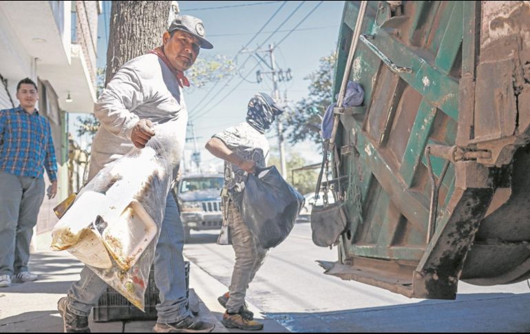 Los problemas en la recolección podrían extenderse hasta principios del 2025. EL INFORMADOR/H. Figueroa