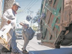 Los problemas en la recolección podrían extenderse hasta principios del 2025. EL INFORMADOR/H. Figueroa