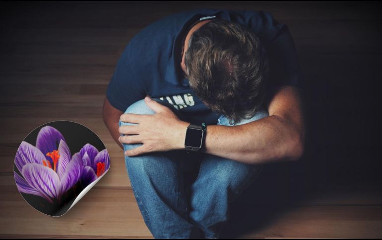 Existen diversas opciones de tratamiento efectivas para tratar la depresión. ESPECIAL / PIXABAY