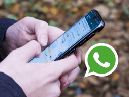 Se recomienda utilizar las distintas funciones de seguridad que tiene WhatsApp para proteger tu información. Pixabay