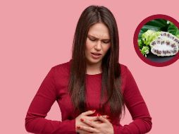 Siempre es recomendable consultar a un profesional de la salud antes de incorporarlo de manera regular en tu dieta. FREEPIK / PEXELS