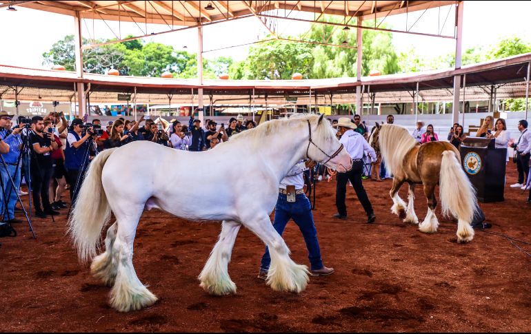 Para la Expo Ganadera 2024 se han realizado importantes renovaciones y mejoras al recinto ferial; a la vez que se ha organizado una agenda muy amplia y diversa de actividades y espectáculos. EL INFORMADOR/ A. Navarro 